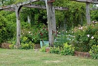 Loggia and pergola, the wooden skeleton of an old pig sty on a brick base full of Roses - including Rosa 'Bonica', Clematis and Alchemilla mollis. June