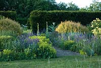 The big blue and yellow border, plants include - Alchemilla mollis, Nepeta, Nigella damascena - Love-in-a-mist, Rosa 'Graham Thomas and Verbascum with stone path leading to The White Garden enclosed by a yew hedge - Wood Farm, June