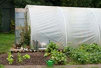 Vegetable garden and polytunnel where the vegetables for selling on the stall are grown - Cavick House Farm, Norfolk