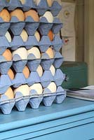 Trays of free range eggs for sale in Annabel's Egg Shed - Cavick House Farm, Norfolk