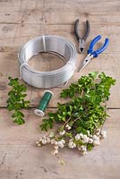 Step-by-step - Materials and equipment for creating a heart wreath using snowberries and buxus