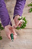 Step-by-step - Binding snowberries and buxus to metal heart shape with thread to secure 