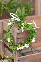 Step-by-step - Heart shaped wreath made using Snowberries and buxus  