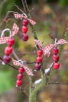 Cranberry decorations hanging on tree in winter 
