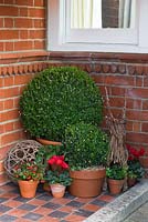 Step by step - creating decorative winter display - Topiary and plants in containers with fairy lights 