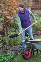 Mulching borders with well rotted manure