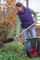 Mulching borders with well rotted manure