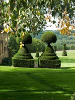 Taxus Baccata. Yew tree clipped as tiered topiary in classic style and strategically placed to accentuate the vista.  Le Manoir d'Eyrignac, Dordogne, Perigord, France.