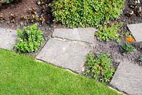 Detail of garden border with Begonia, Tagetes and Azalea and stepping stones with low growing plants including Potentilla, Gentiana and Sedum planted between each slab