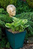 Variegated Hosta in a glazed pot backed with juniper and sculpted head - Bude Street, Appledore, Devon, UK
