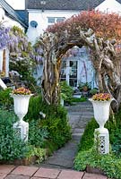 Wooden archway made from the remains of a conifer hedge marks the change from one part of the garden to another while supporting a climing jasmine. White urns contain Viola Sorbet Orange Duet - Bude Street, Appledore, Devon, UK