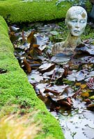 Head sculpture in sunken pond surrounded by Mind-your-own-business, Soleirolia soleirolii, and containing waterliles 