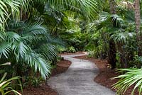 The Duck Pond Trail is planted with lush native Florida vegetation - McKee Botanical Garden, Vero Beach, Florida