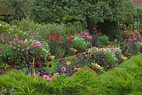 Sunken Garden double borders with Dahlia, Petunia, Hosta, Leucanthemum, Sisyrinchium, Eryngium and Yew tree - Chenies Manor Gardens, Buckinghamshire, UK 