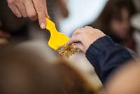 Honey preparation at Hollickwood School. Child tasting honey
