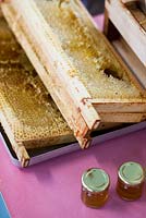 Honey preparation at Hollickwood School. Wooden frames of honeycomb and jars filled with honey