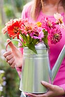 Woman holding watering can filled with recently picked zinnias.