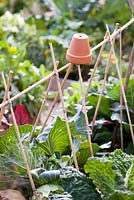 Pot filled with straw to attract wildlife in vegetable beds.
