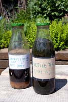 Bottles of Nettle tea and Comfrey Plant Food - King Henry's Walk Garden, London Borough of Islington