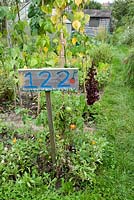 Plot number 122 sign with allotment, path and shed behind, Golf Course Allotments, London Borough of Haringey