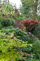 Borders leading to the summerhouse including flowering Azaleas, banana, Cercidiphyllum japonicum, hardy palm, tulips, Lamprocapnos spectabilis, variegated Hosta and ferns - Seattle, USA