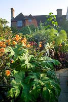 Early morning in the exotic garden at Great Dixter with Tetrapanax papyrifer and Dahlia 'David Howard' in the foreground