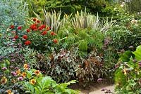 The exotic garden at Great Dixter. Planting includes Begonia 'Little Brother Montgomery', Begonia luxurians, Phormium 'Sundowner', Dahlia 'Wittemans Superba' and Verbena bonariensis