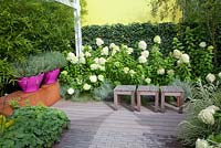 Terrace with Hydrangea paniculata 'Limelight'