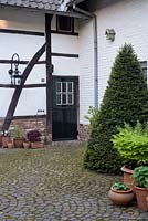 Cone yew topiary and pots on courtyard, De Carishof