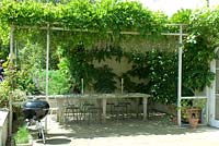 Outside dinning area with a canopy of Wisteria and a portable barbeque, May