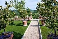 Lemon trees in containers and underplanted with campanula cv in The Lemon Garden. Gravel path leading to the Olive Field with view of the Valle Serena at Borgo Santo Pietro, Tuscany, Italy