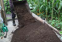 Sieving compst - Pile of sieved compost in polytunnel
