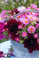 Pink asters and dahlias in old metal bucket