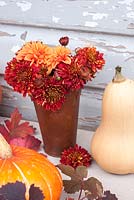 Chrysanthemums and dahlia in rusty jug with squashes
