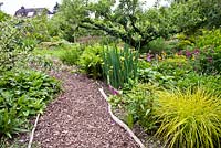 Curved bark path leading between early summer borders