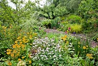 Path through borders includes Primula beesiana, Astrantia 'Buckland', Iris, Cornus and Hakonechloa macra 'Aureola'