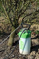 Sprayer at the foot of a Pear tree
