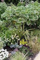 Kohlrabi with Decorative Cabbage 'Joseph Coterel Creme Chantilly', Grass, Dahlia and Heuchera in border