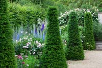 The delphinium border at Hanham Court. Yew topiary pillars