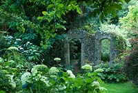 Ruined wall with arch through to shady area of garden, Hydrangea in foreground