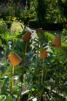 Bamboo canes topped with small terracotta pots to catch woodlice. 