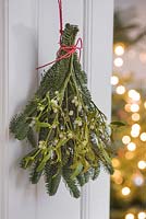 Bunch of mistletoe and fir foliage hanging on door