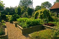 Raised beds in vegetable garden