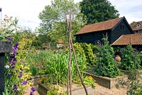 Raised beds in vegetable garden, fruit cage, gravel paths, Sweetcorn, Tropaeolum and Lathyrus 