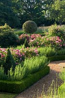 Formal rose garden with Rosa mundi in box edged borders 