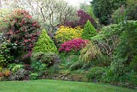 Main borders in the garden near the house at Greencombe Gardens with Rhododendrons and Azaleas