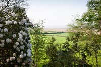 View out of the garden towards the countryside and Bristol Channel with Rhododendron 'Loder's White' AGM in the foreground