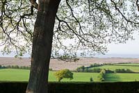 View out from the garden towards the countryside and Bristol Channel at Greencombe Gardens, Somerset