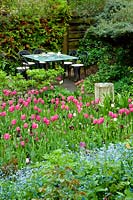 Spring garden with Tulipa 'Barcelona' and dining area
