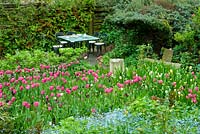 Spring garden with Tulipa 'Barcelona' and dining area
